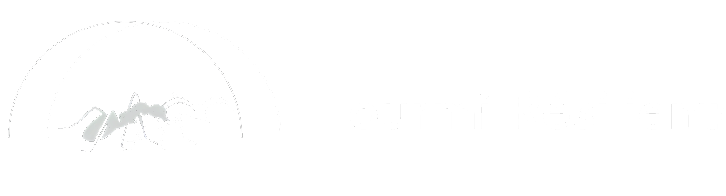 Fourmi Résiliente