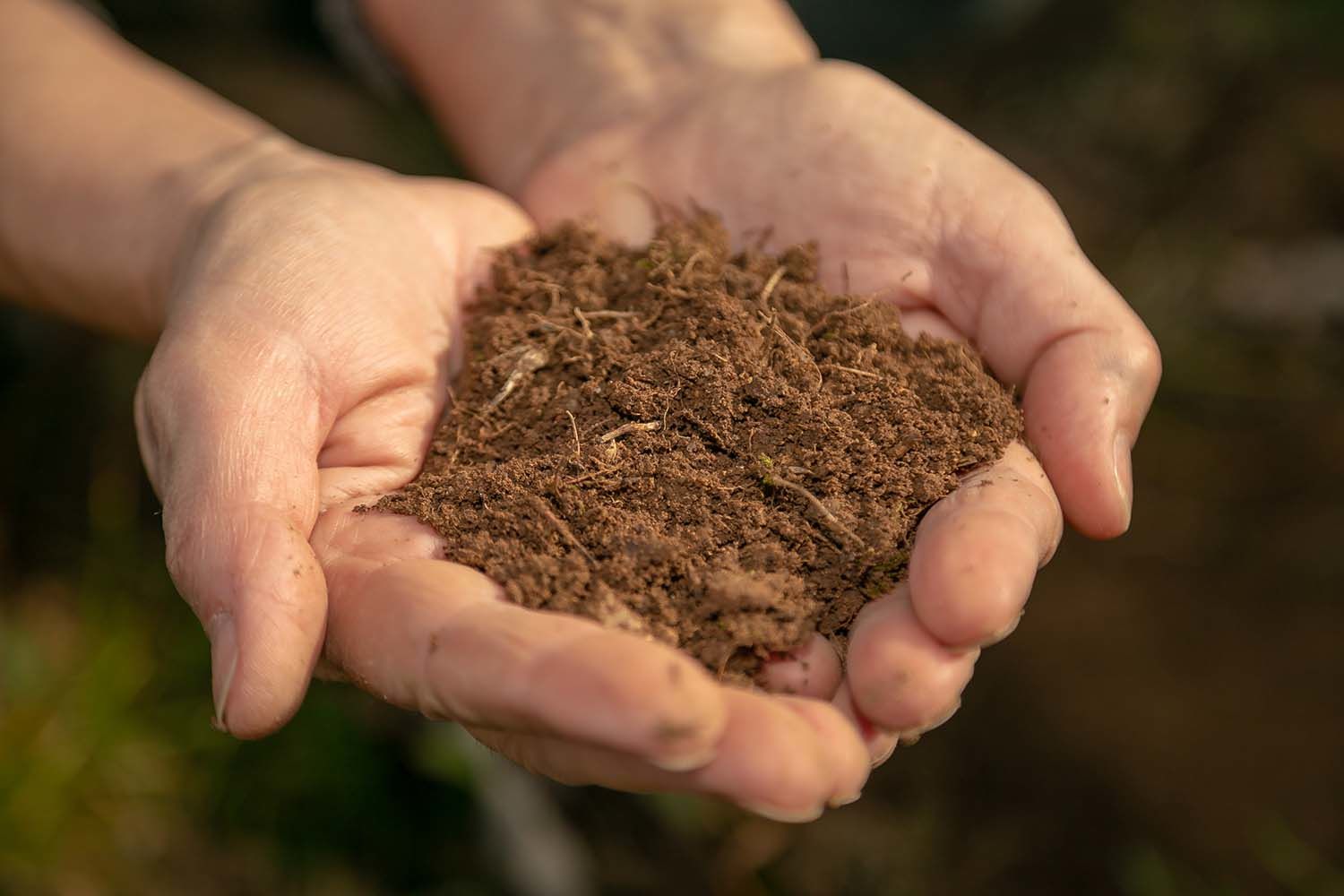 Lire la suite à propos de l’article Pourquoi privilégier le fertilisant naturel ?