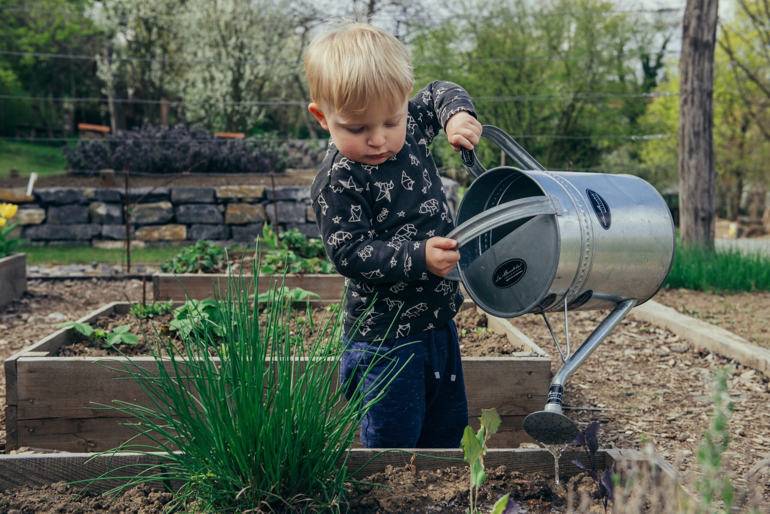 Lire la suite à propos de l’article Comment faire un jardin : Niveau débutant