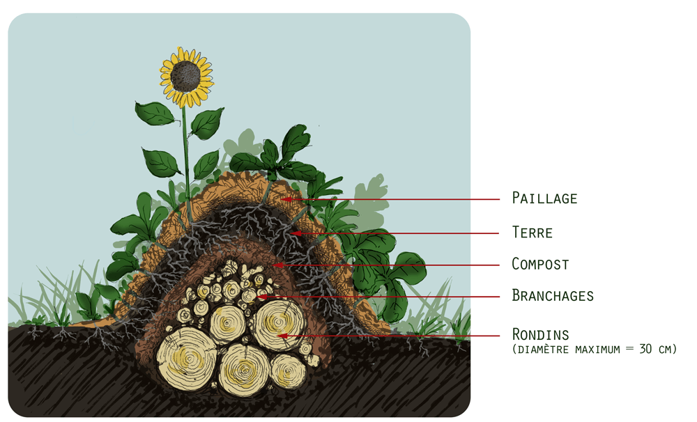 Maîtriser la Culture sur Butte : L’Art de la Permaculture